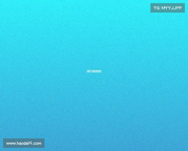 央视5大联赛转播权